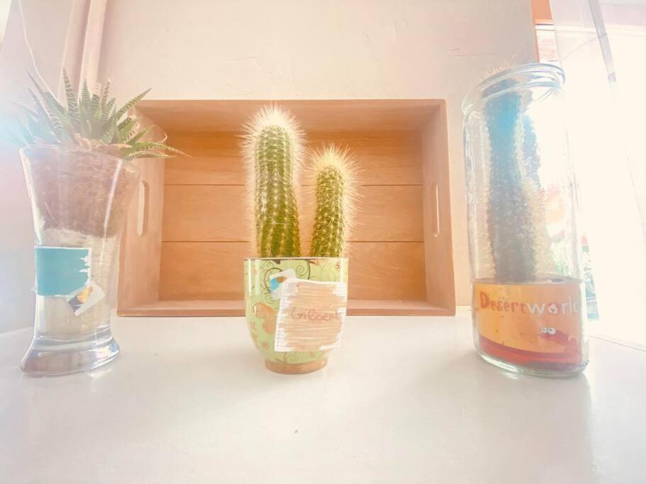 Cocon Familial Apartment Laon Luaran gambar